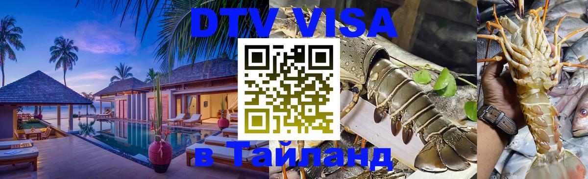 Сколько стоит DTV виза — актуальные цены, оформление даже без документов - Иерусалим  19.11.2025 